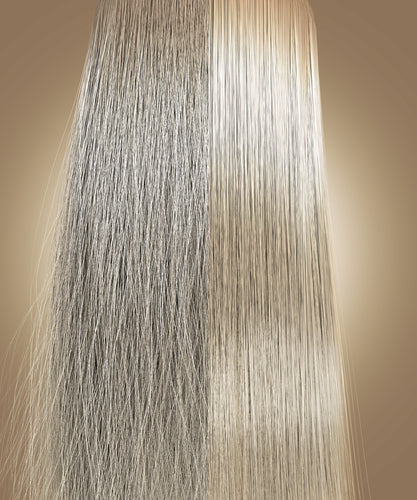 Premium Plex Repair (Intensive Salon Treatment)