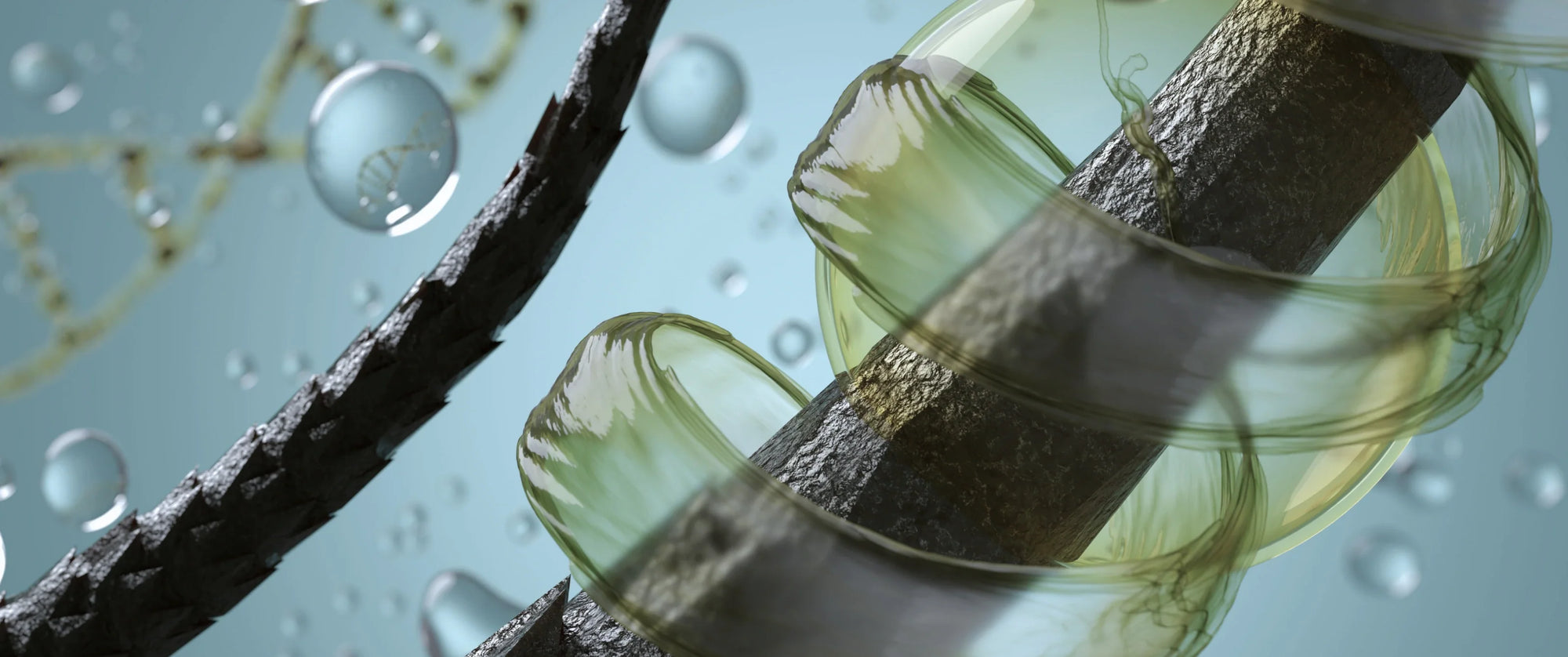 Oily Hair: Why It Happens and How to Rebalance Your Scalp