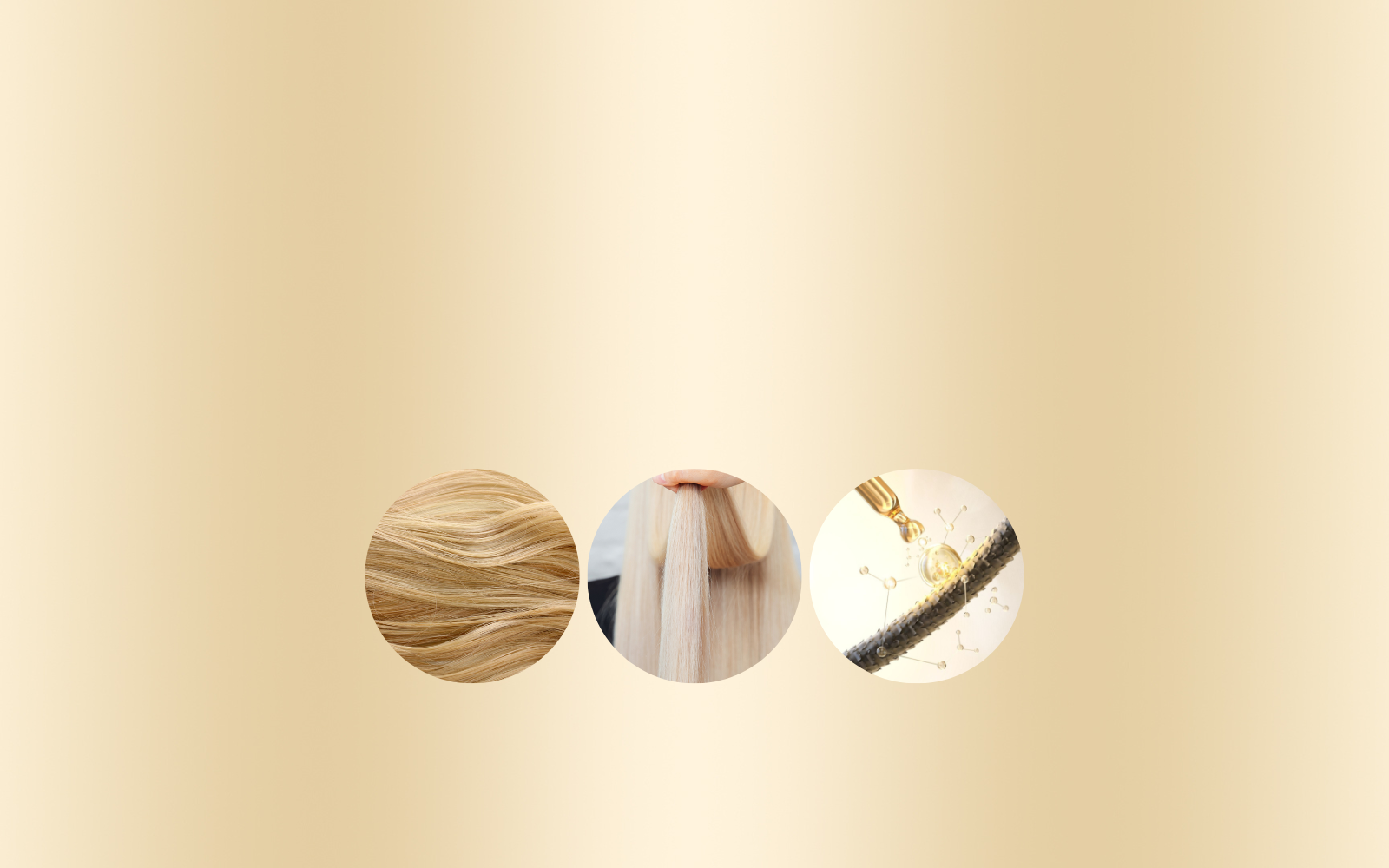 Slideshow Image 2