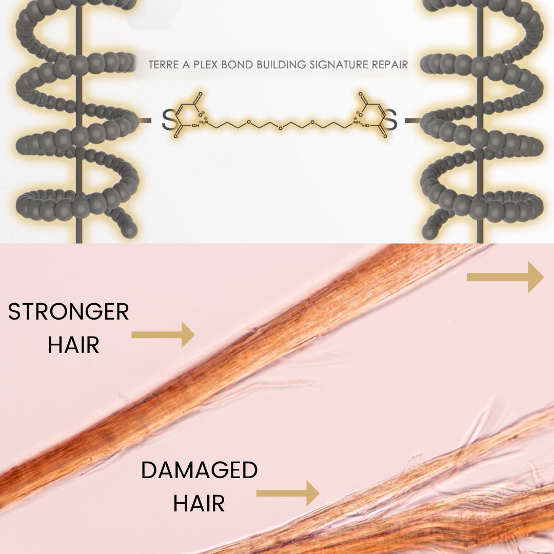 Terre a Plex Hair Repair – TERRE A MER