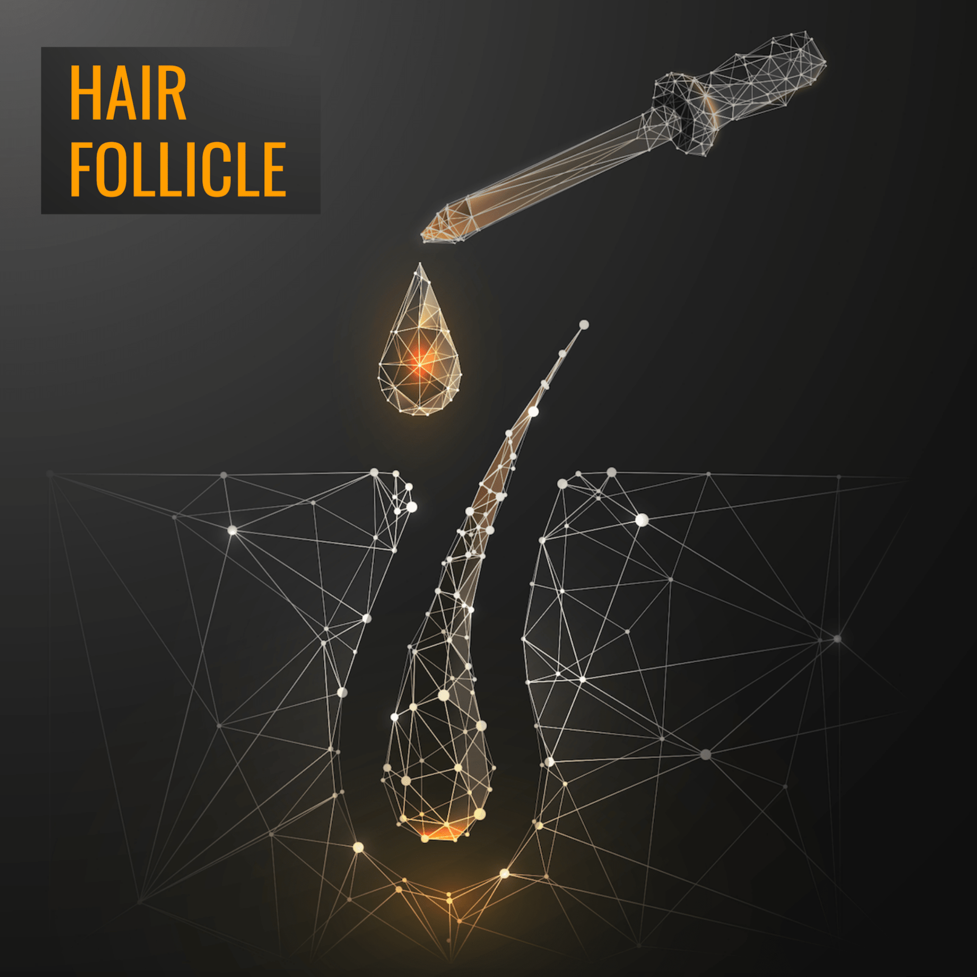 Invigorating Hair Growth Tonic - 50ml - Terreamer