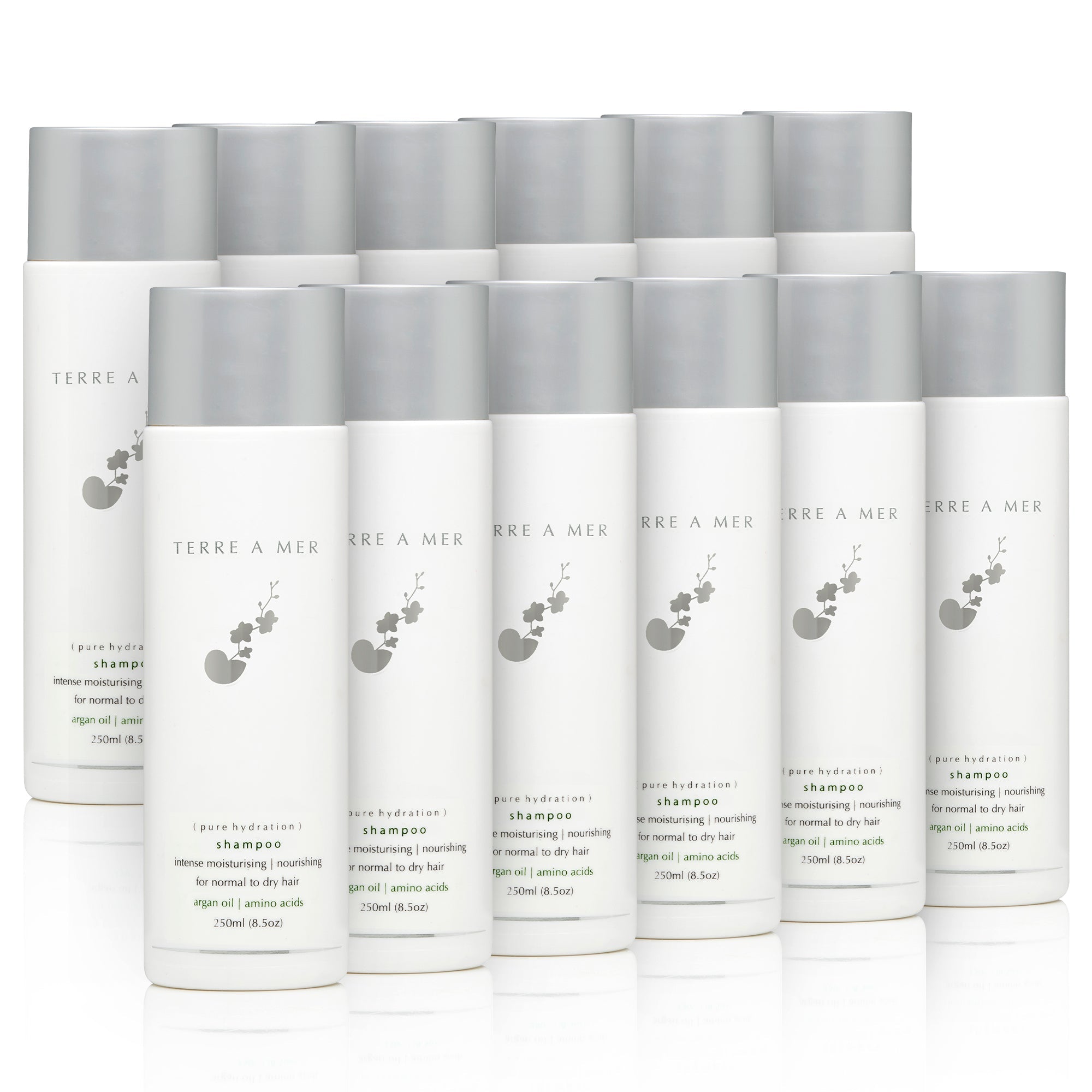 Pure Hydration Amino Acid/Argan Oil Shampoo 250ml - Keratin & Nanoplasty SAFE - Terreamer
